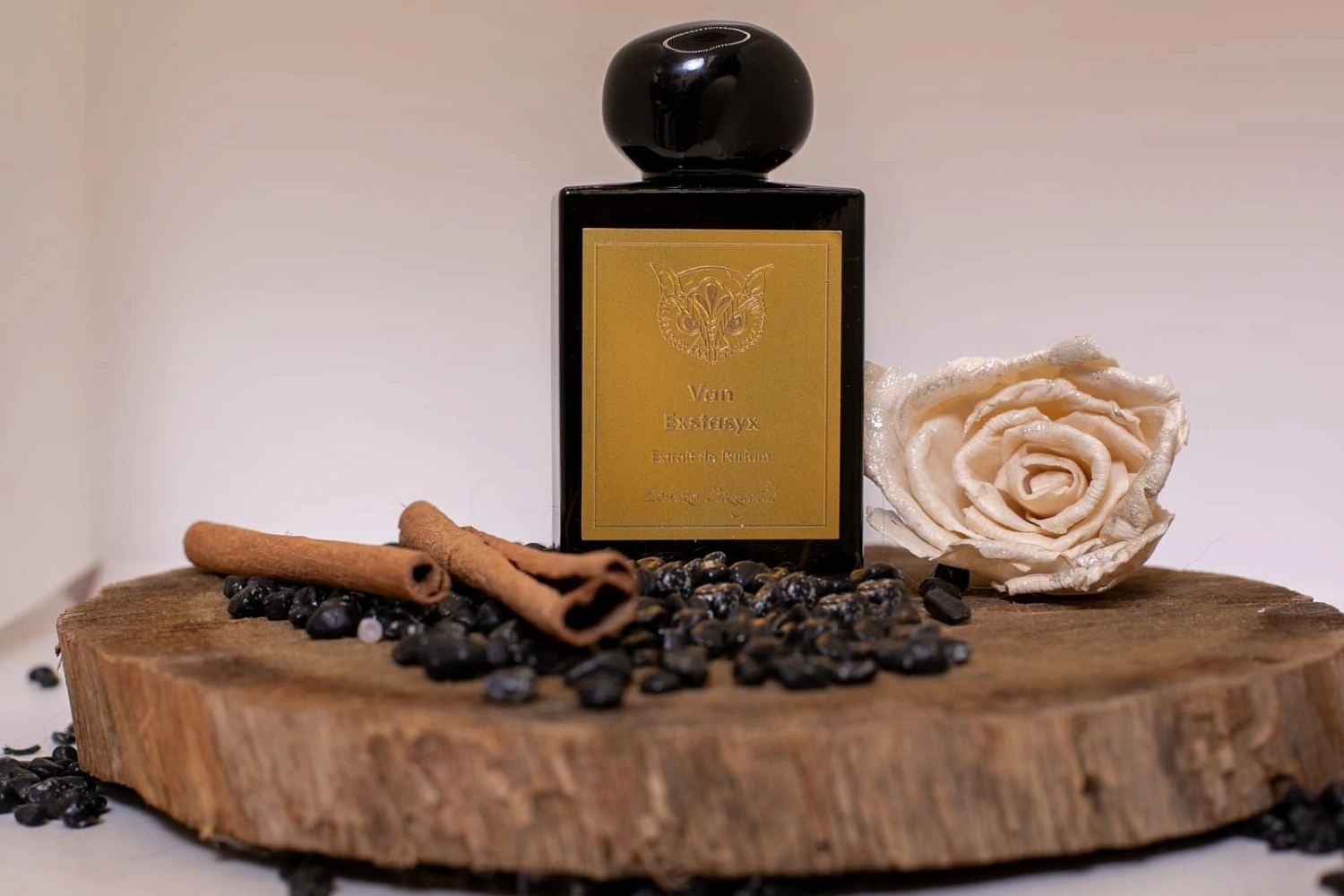 Lorenzo Pazzaglia Van Exstasyx