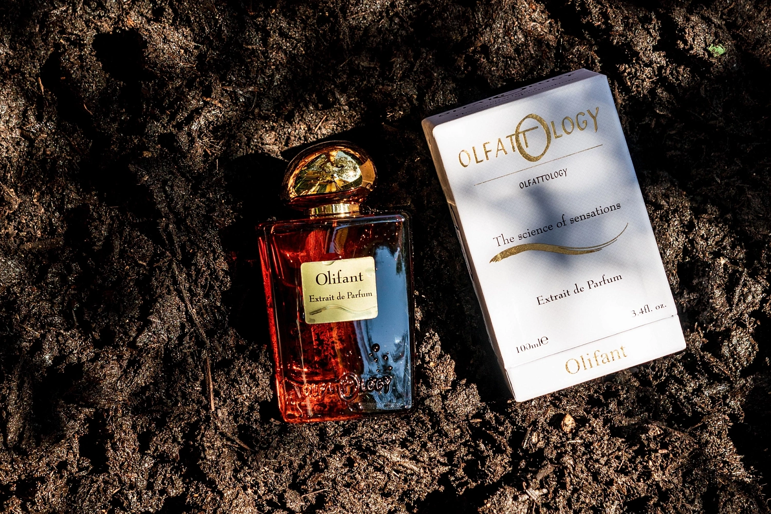 Olfattology Olifant Olfattology Olifant
