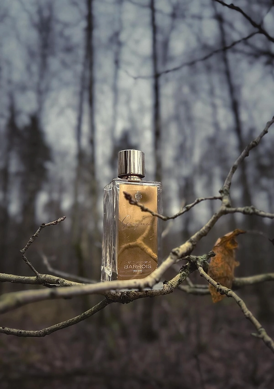 Marc-Antoine Barrois Ganymede