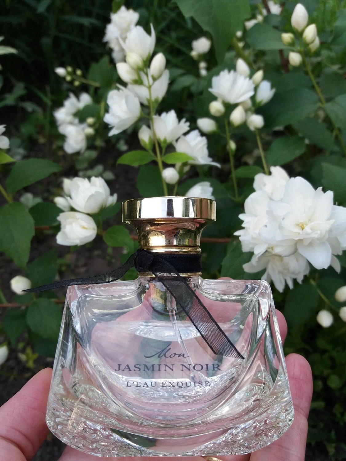 BVLGARI Mon Jasmin Noir L’Eau Exquise