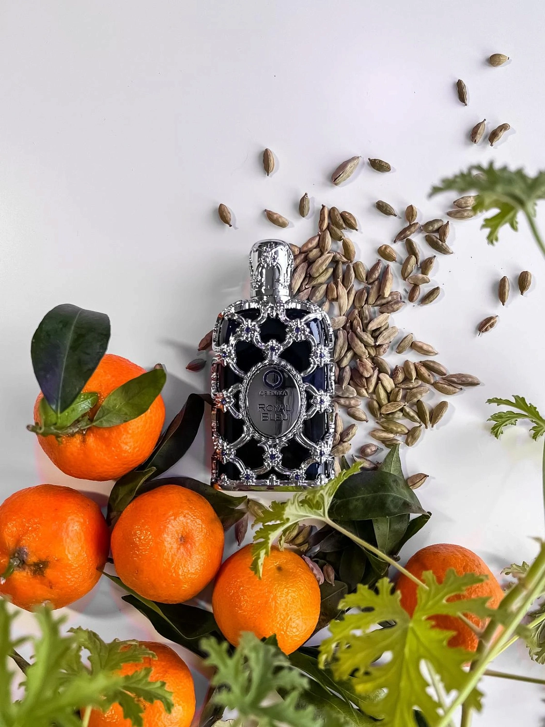 Orientica Premium Royal Bleu