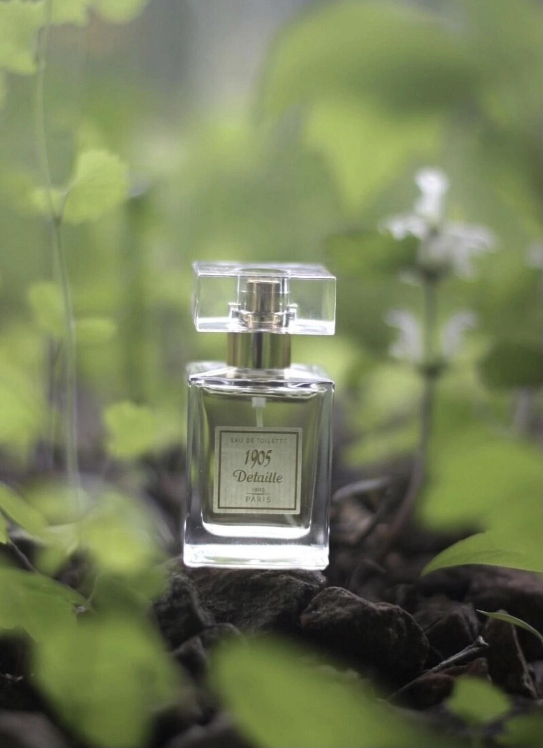 Detaille 1905