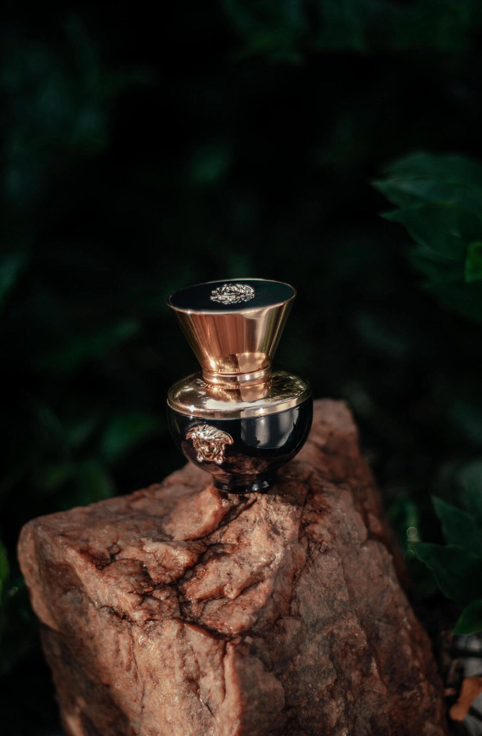 Versace Pour Femme Dylan Blue