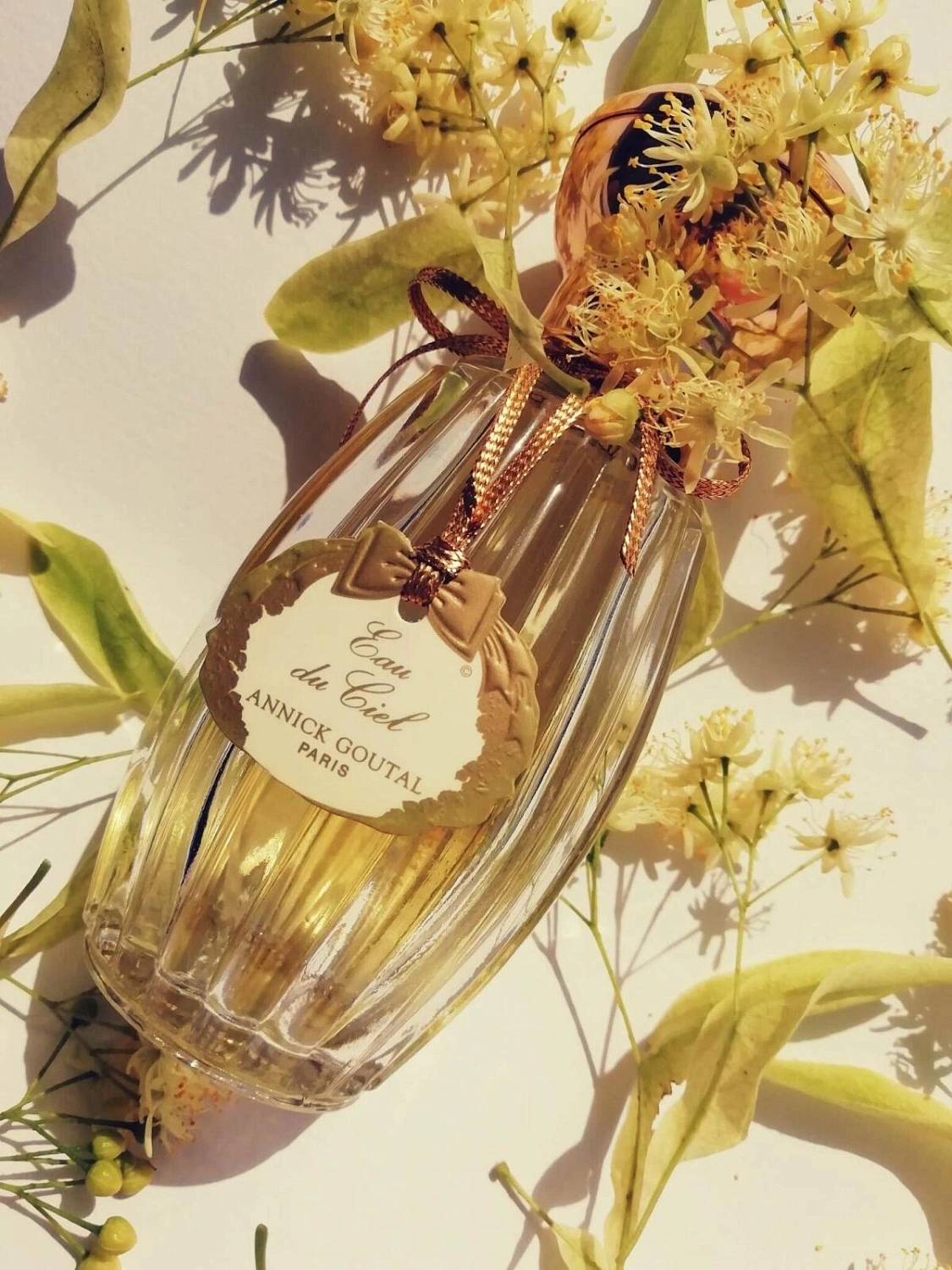 Annick Goutal Eau du Ciel Annick Goutal Eau du Ciel