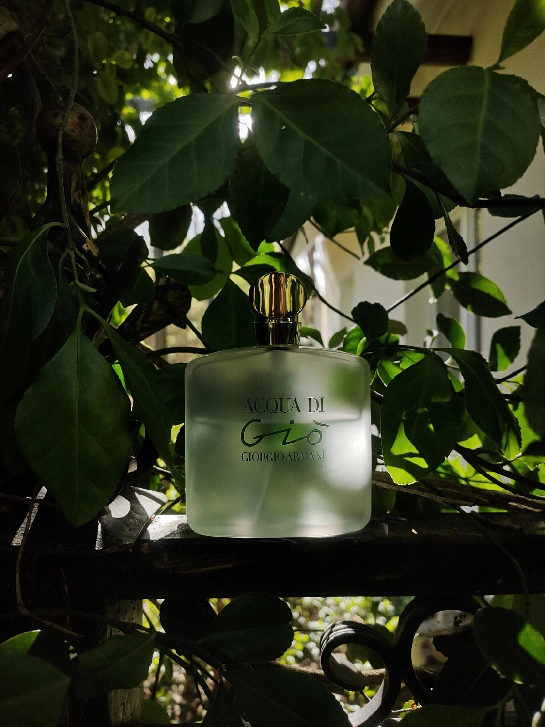 Armani Acqua di Gio