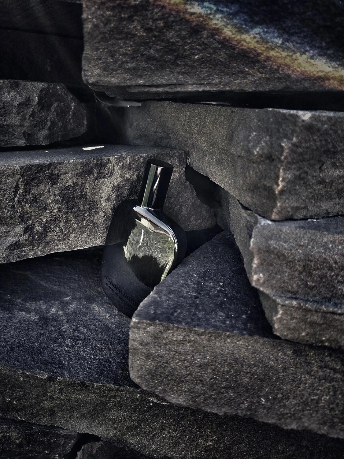 Comme des Garcons Wonderwood