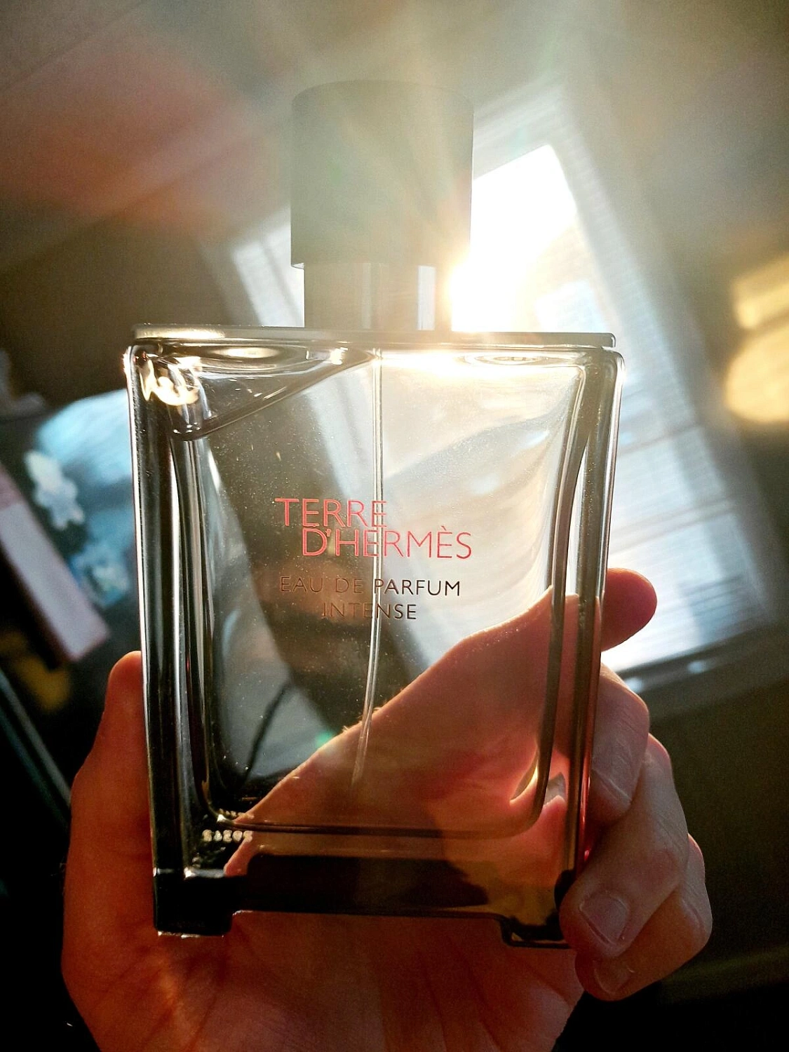 Terre D'Hermes Intense Terre D'Hermes Intense