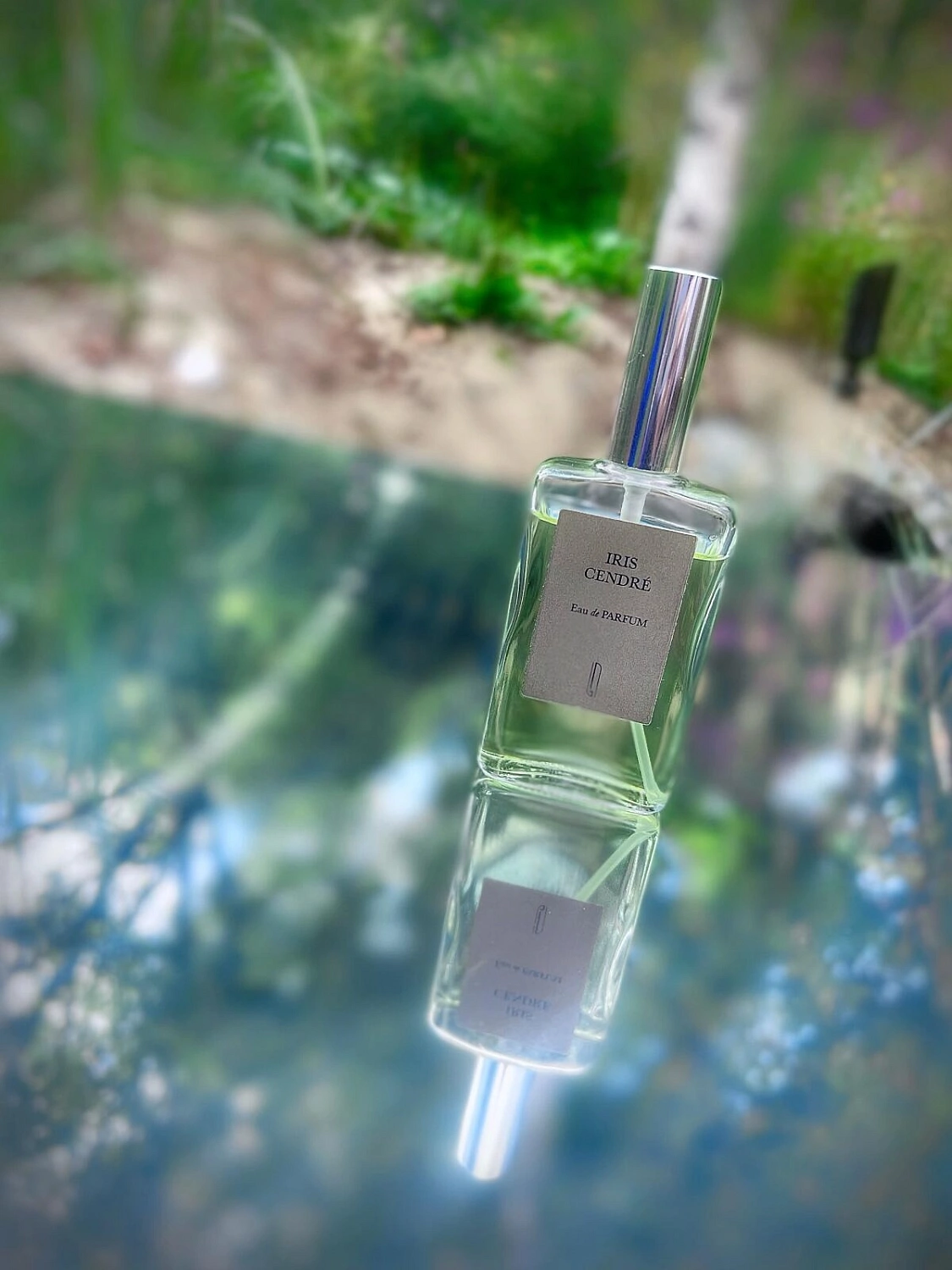 Naomi Goodsir Iris Cendre