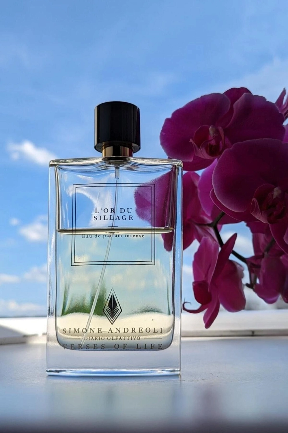 Simone Andreoli L'or du Sillage