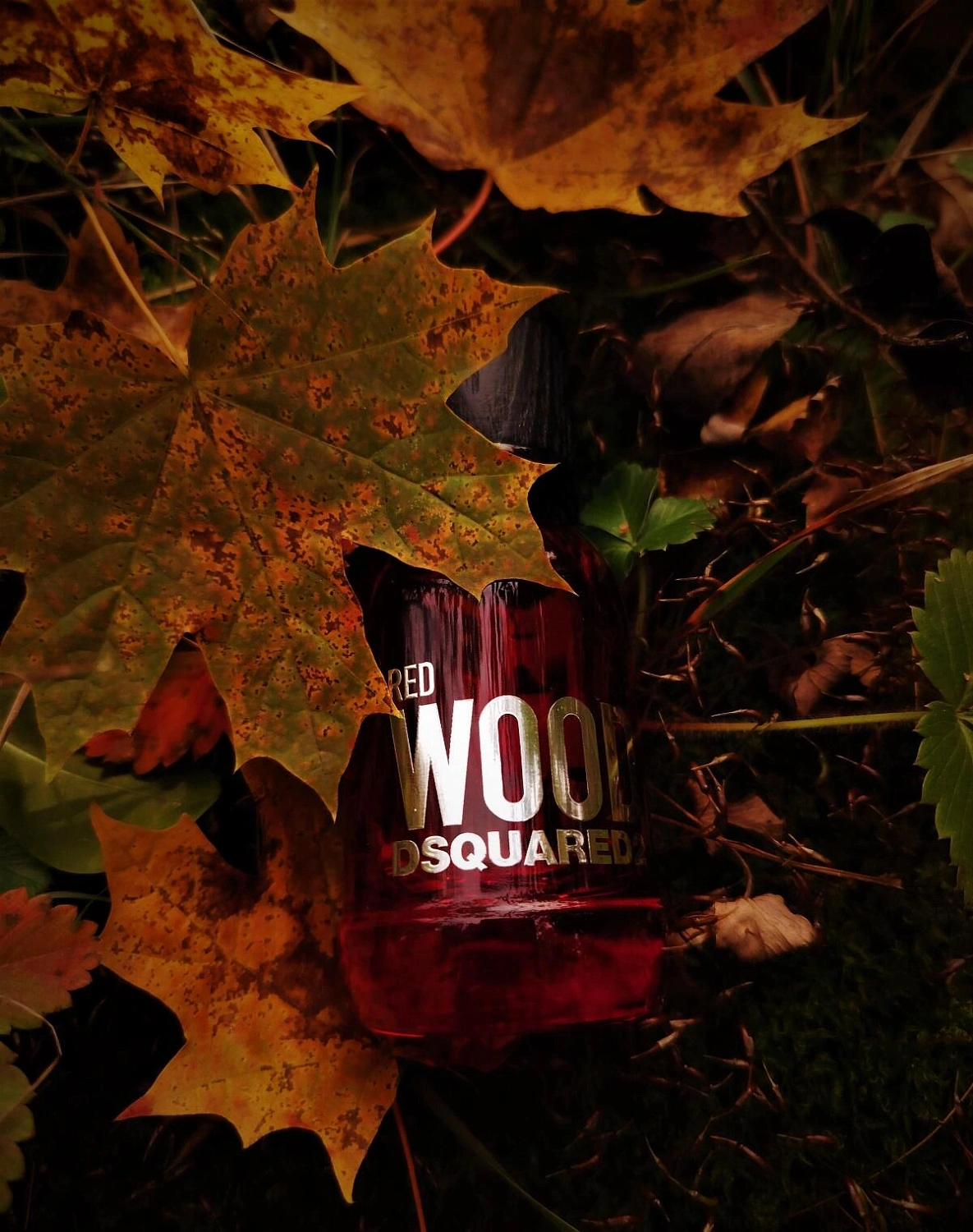 DSQUARED2 Red Wood