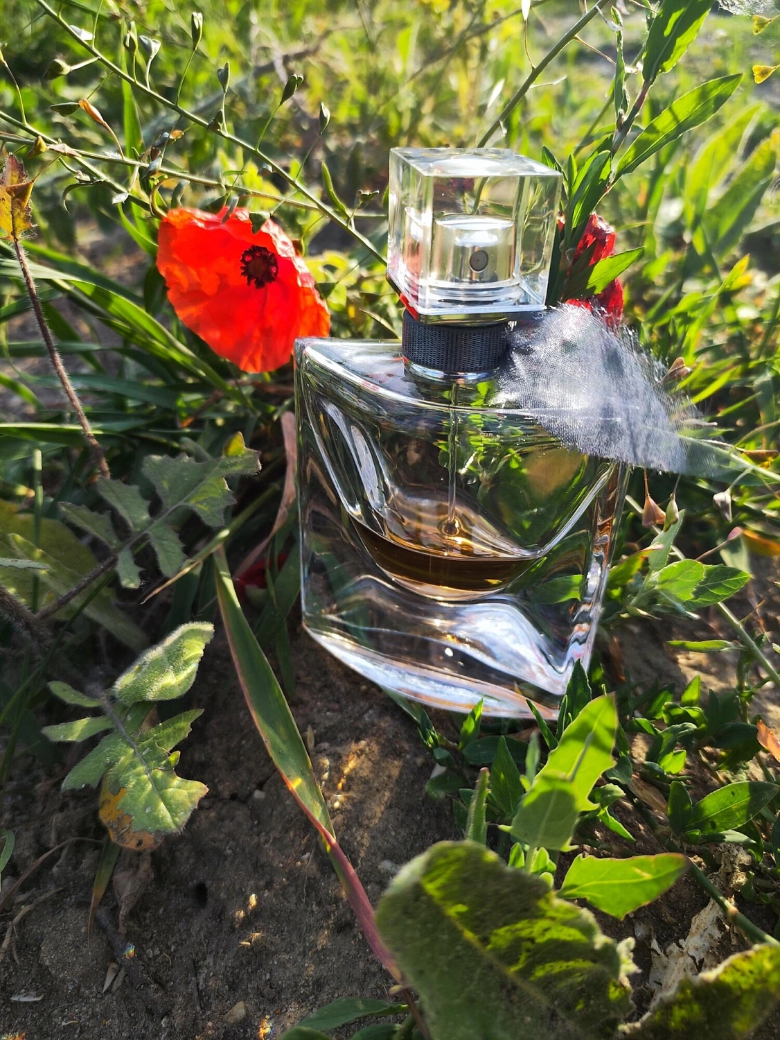 Lancôme La Vie est Belle