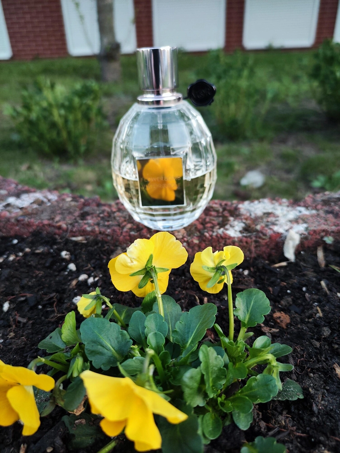 Viktor & Rolf Flowerbomb Eau de Toilette