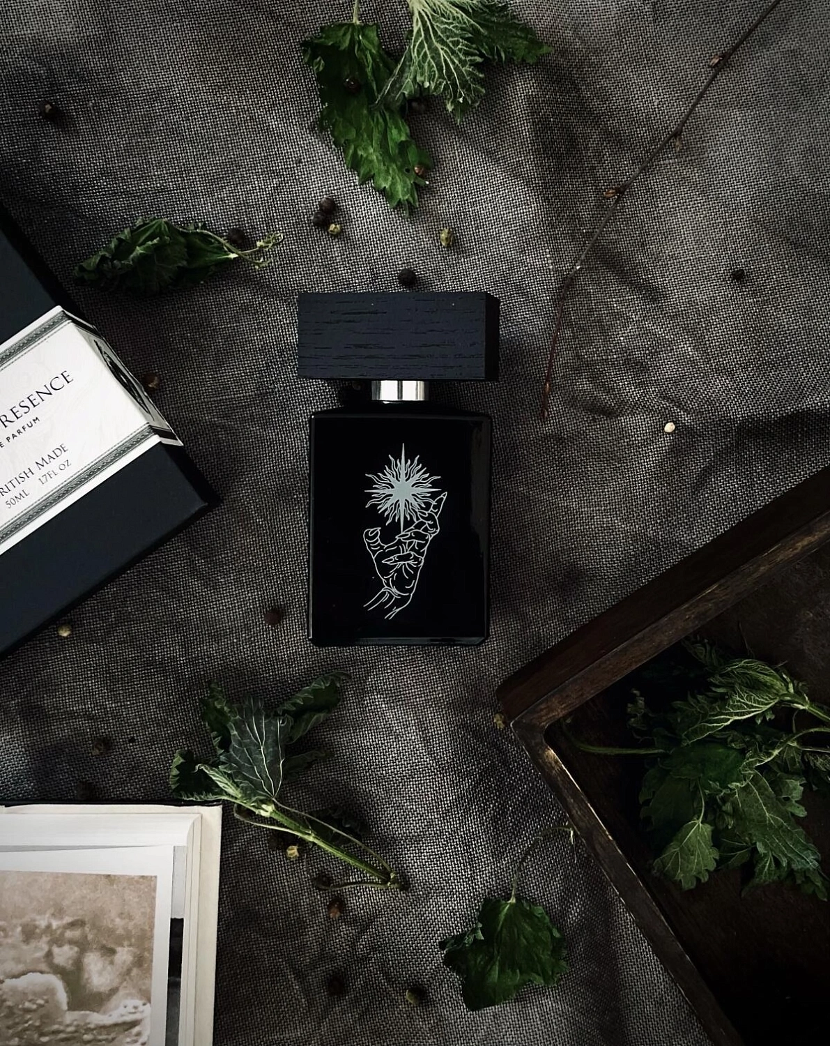 Beaufort London Absent Presence