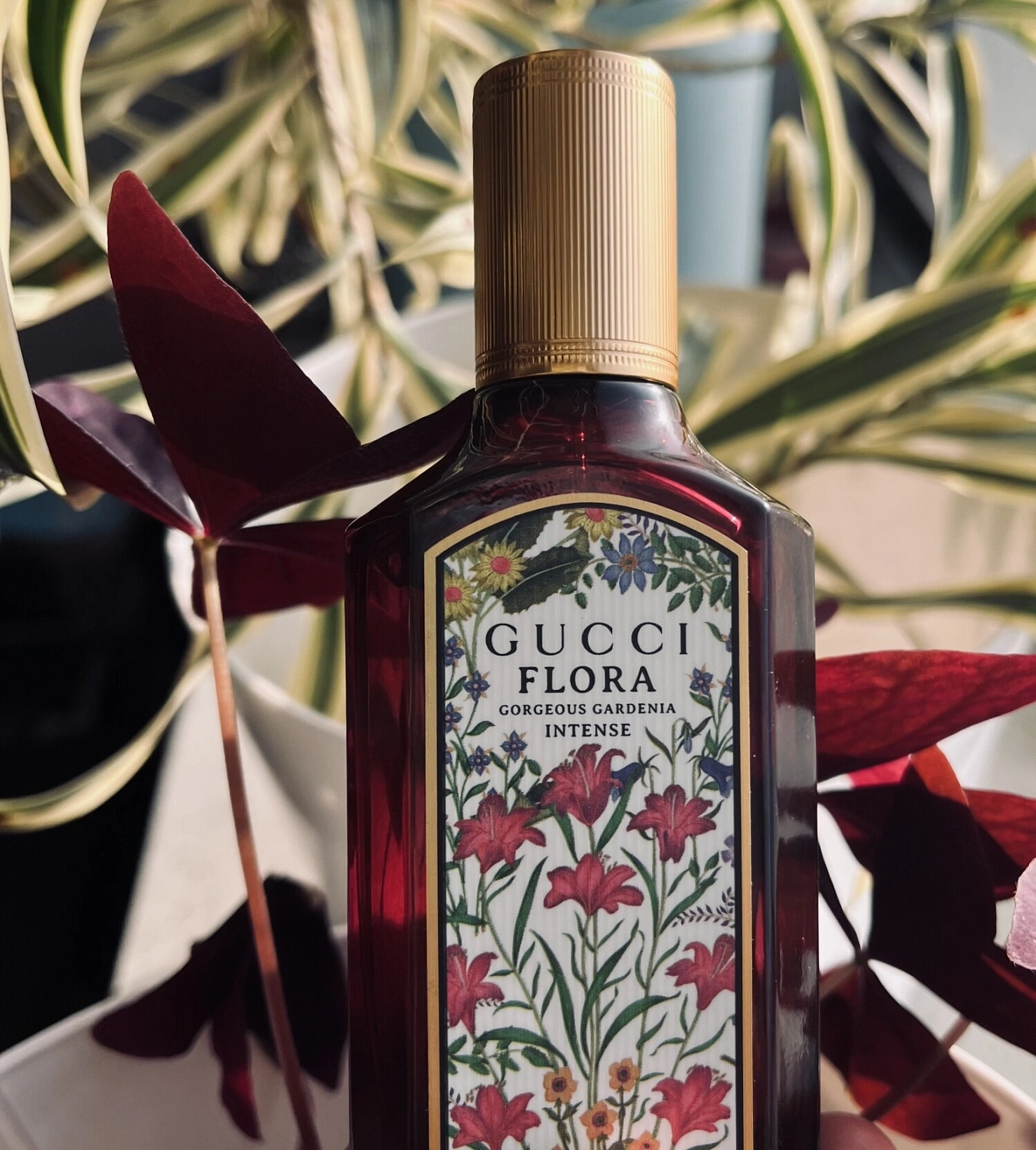 Gucci Flora Gorgeous Gardenia Intense