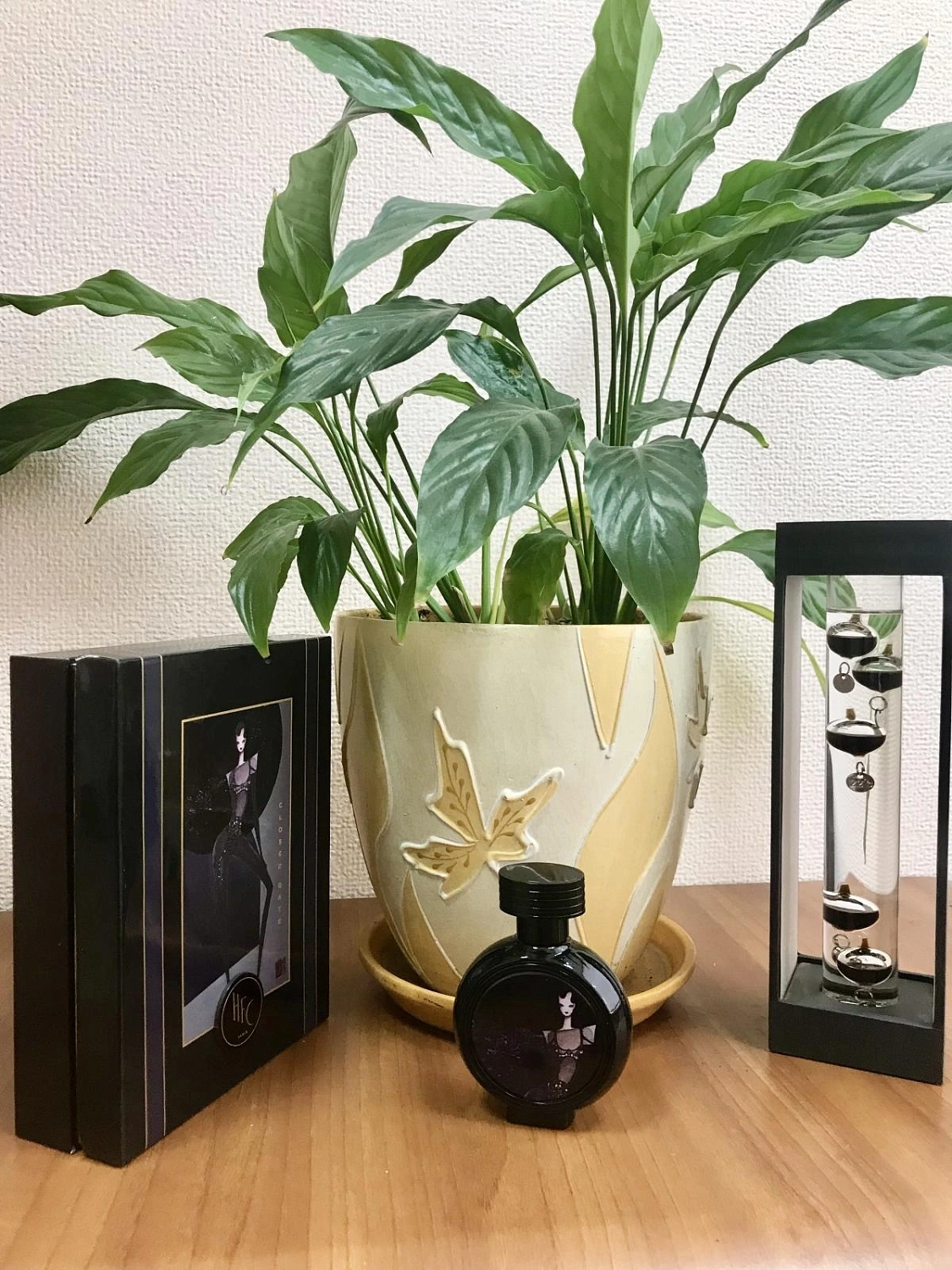 Haute Fragrance Company Closed Gate