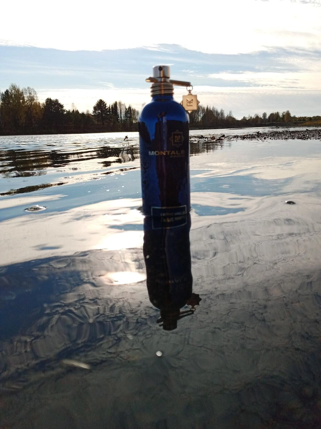 MONTALE Chypre Vanille