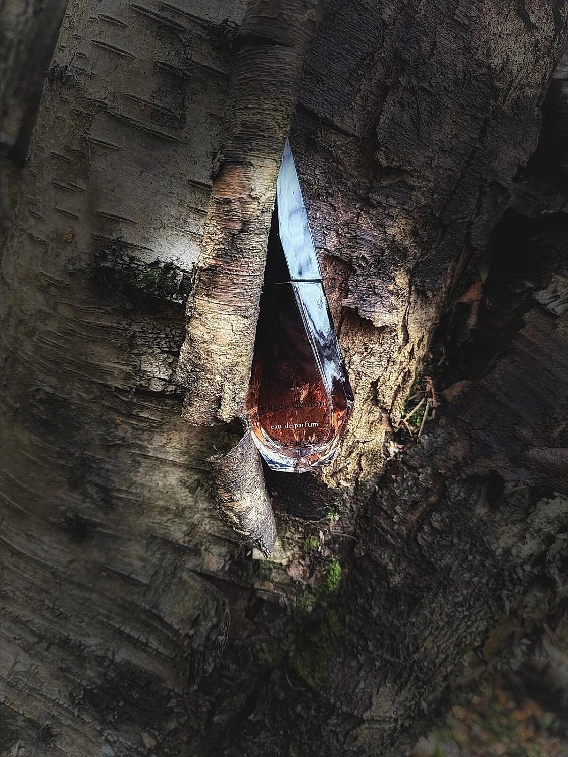 GIVENCHY Ange ou Demon