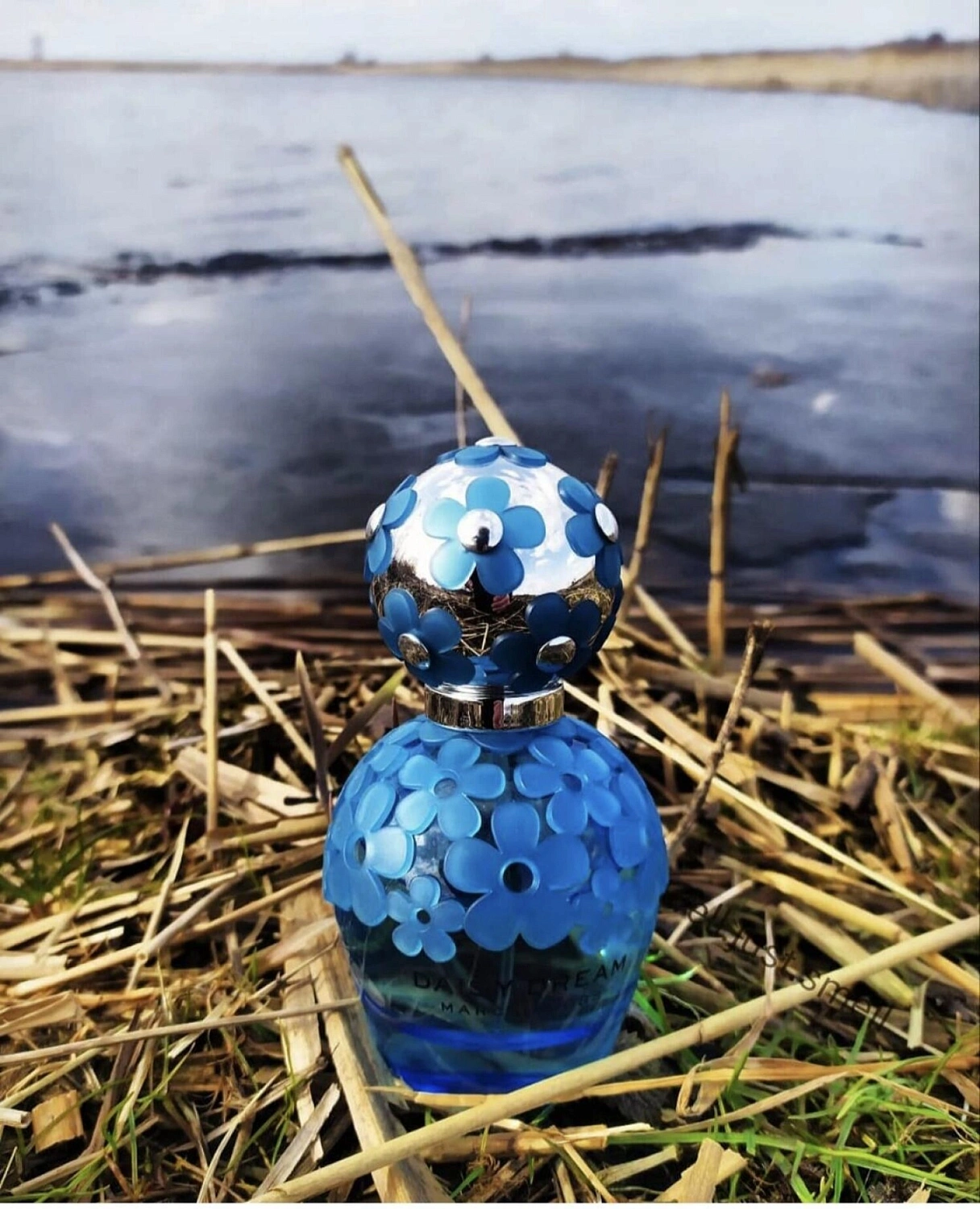 Marc Jacobs Daisy Dream Forever
