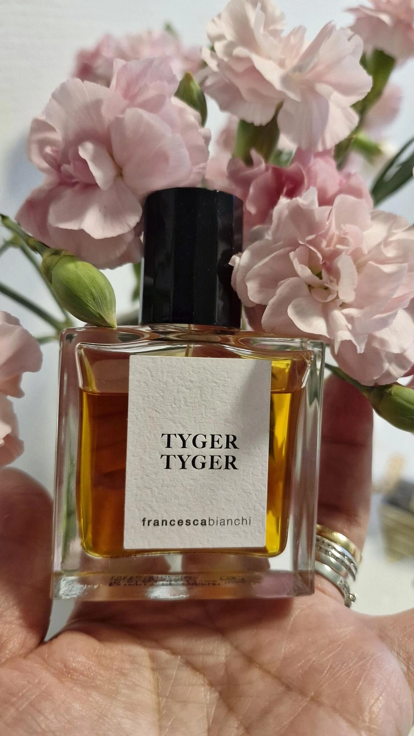 Francesca Bianchi Tyger Tyger