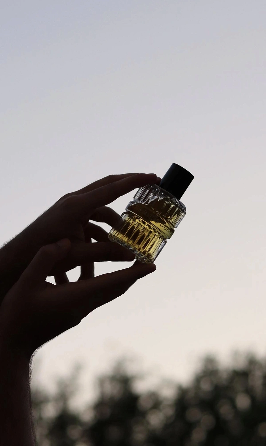 Les Bains Guerbois 1978 Les Bains Douches