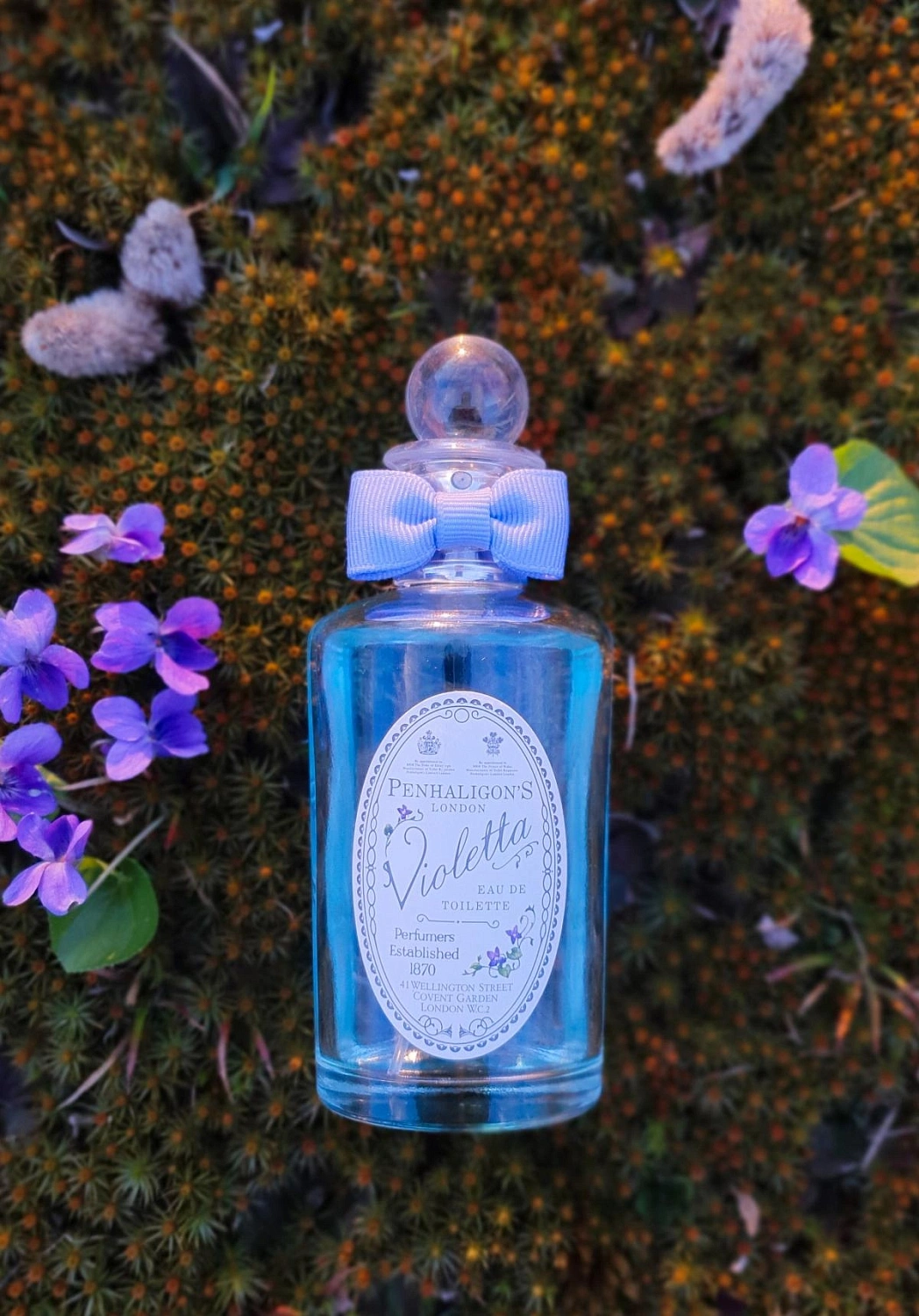 Penhaligon`s Violetta Penhaligon`s Violetta