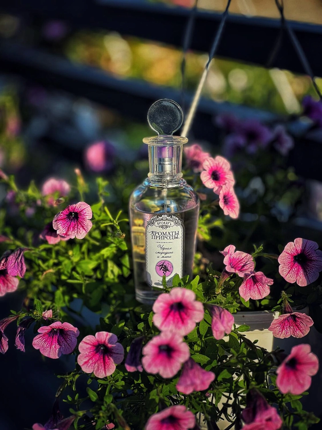 Brocard Черная смородина и Мята