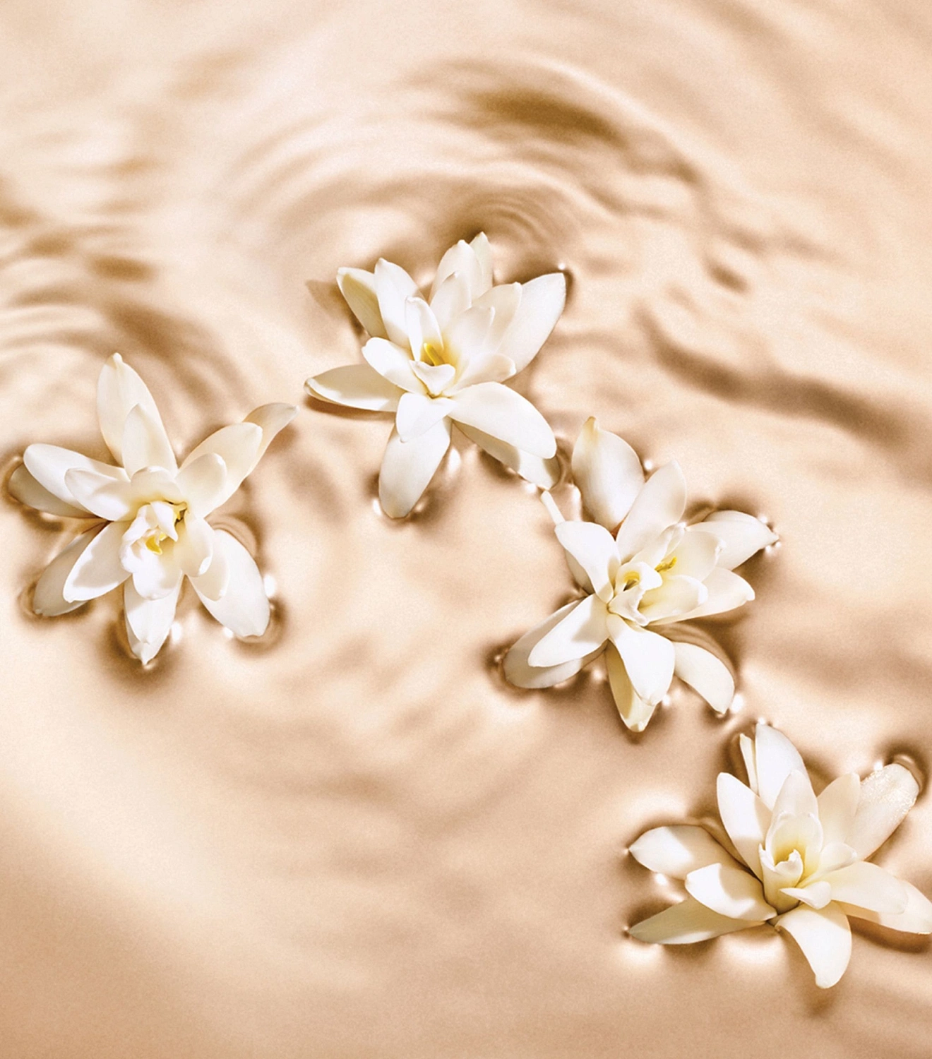 Jimmy Choo Radiant Tuberose