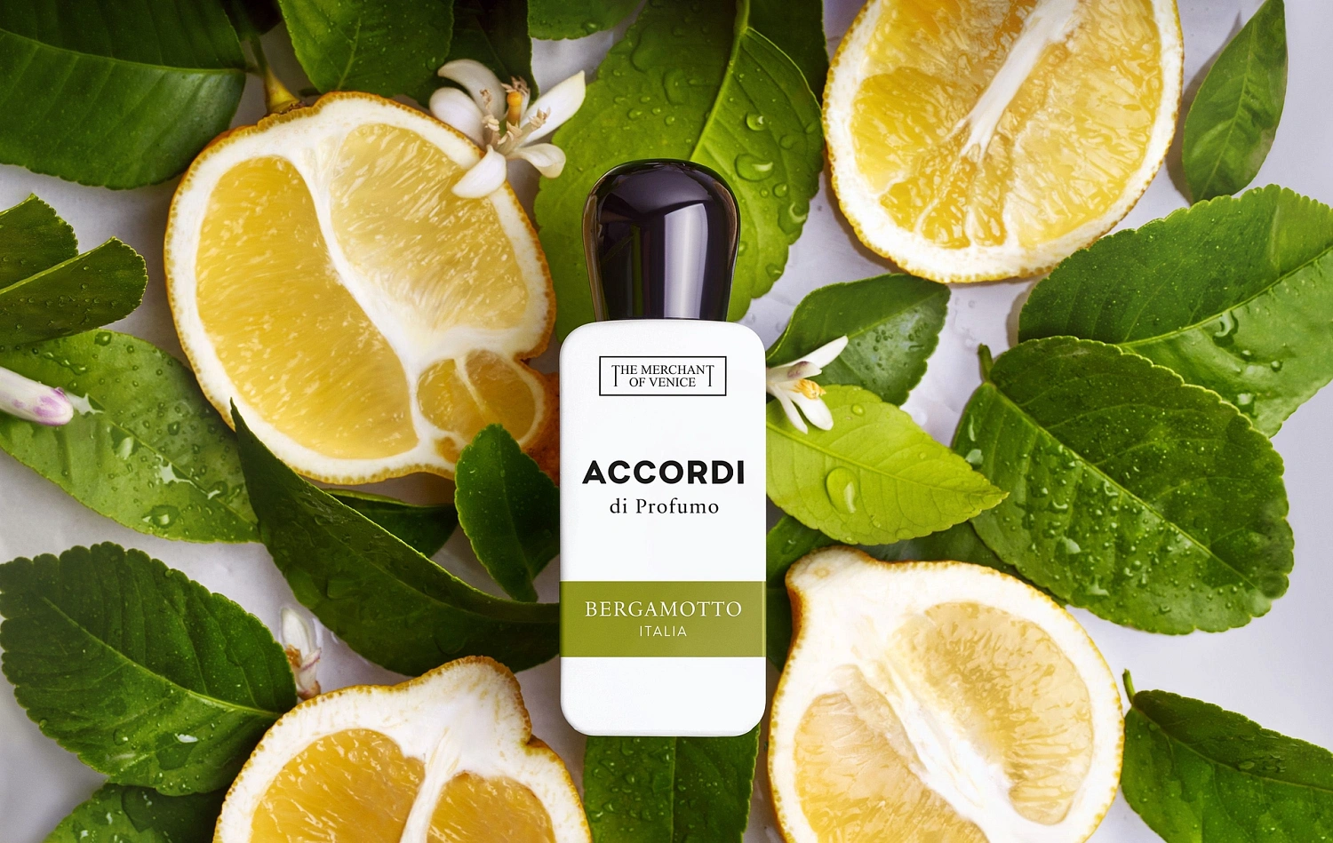 The Merchant of Venice Bergamotto Italia
