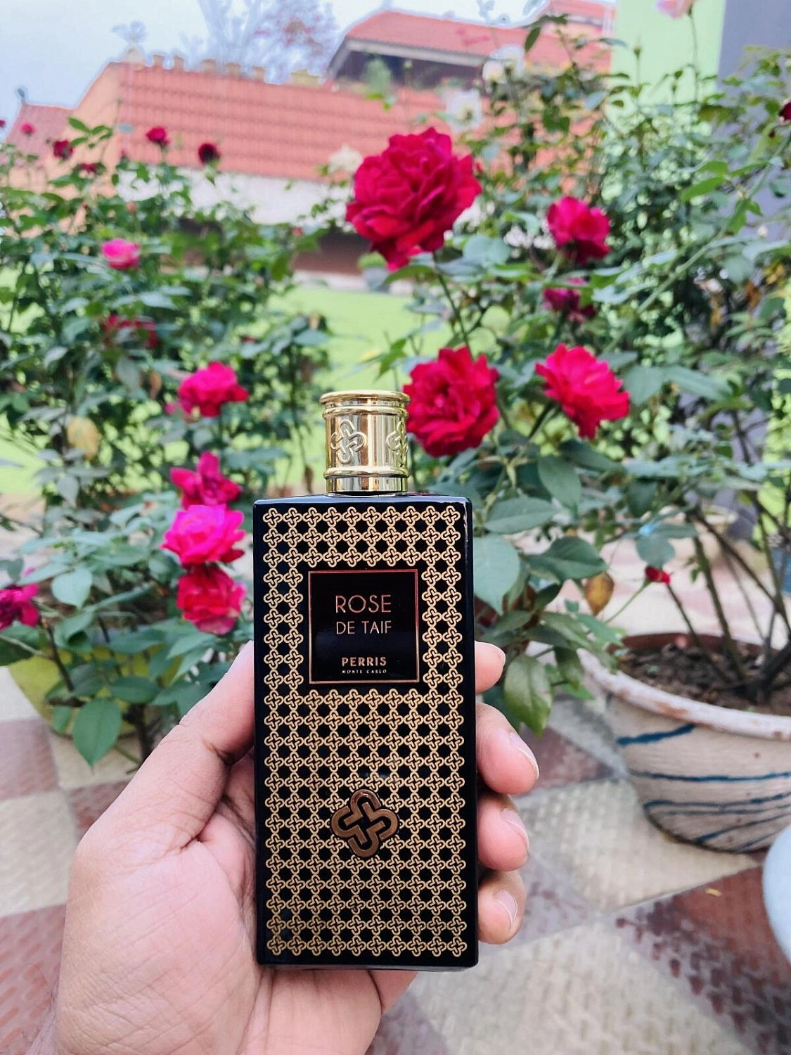 Perris Monte Carlo Rose de Taif