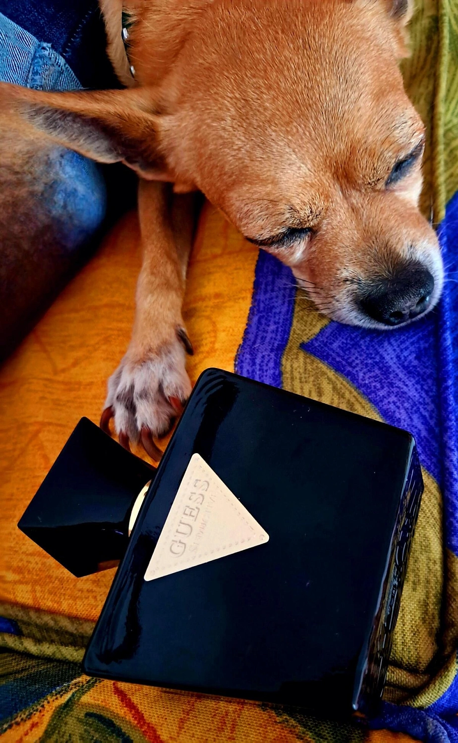 Guess Seductive Noir