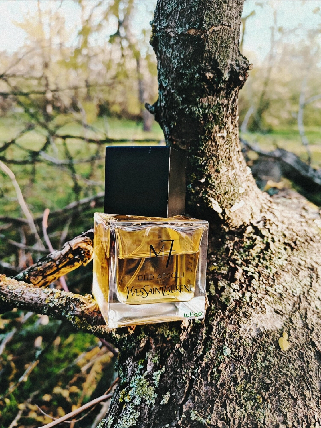 Yves Saint Laurent La Collection M7 Oud Absolu