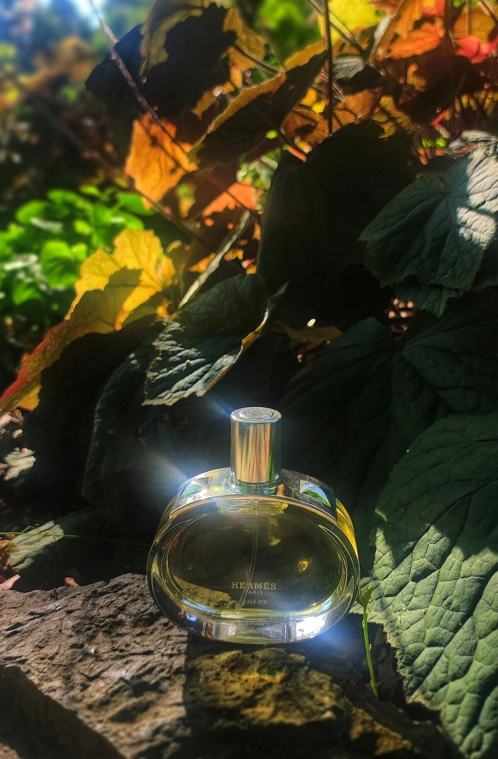 Hermes Barenia Hermes Barenia