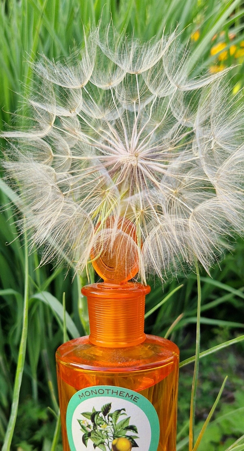 Monotheme Fine Fragrances Venezia Bergamotto