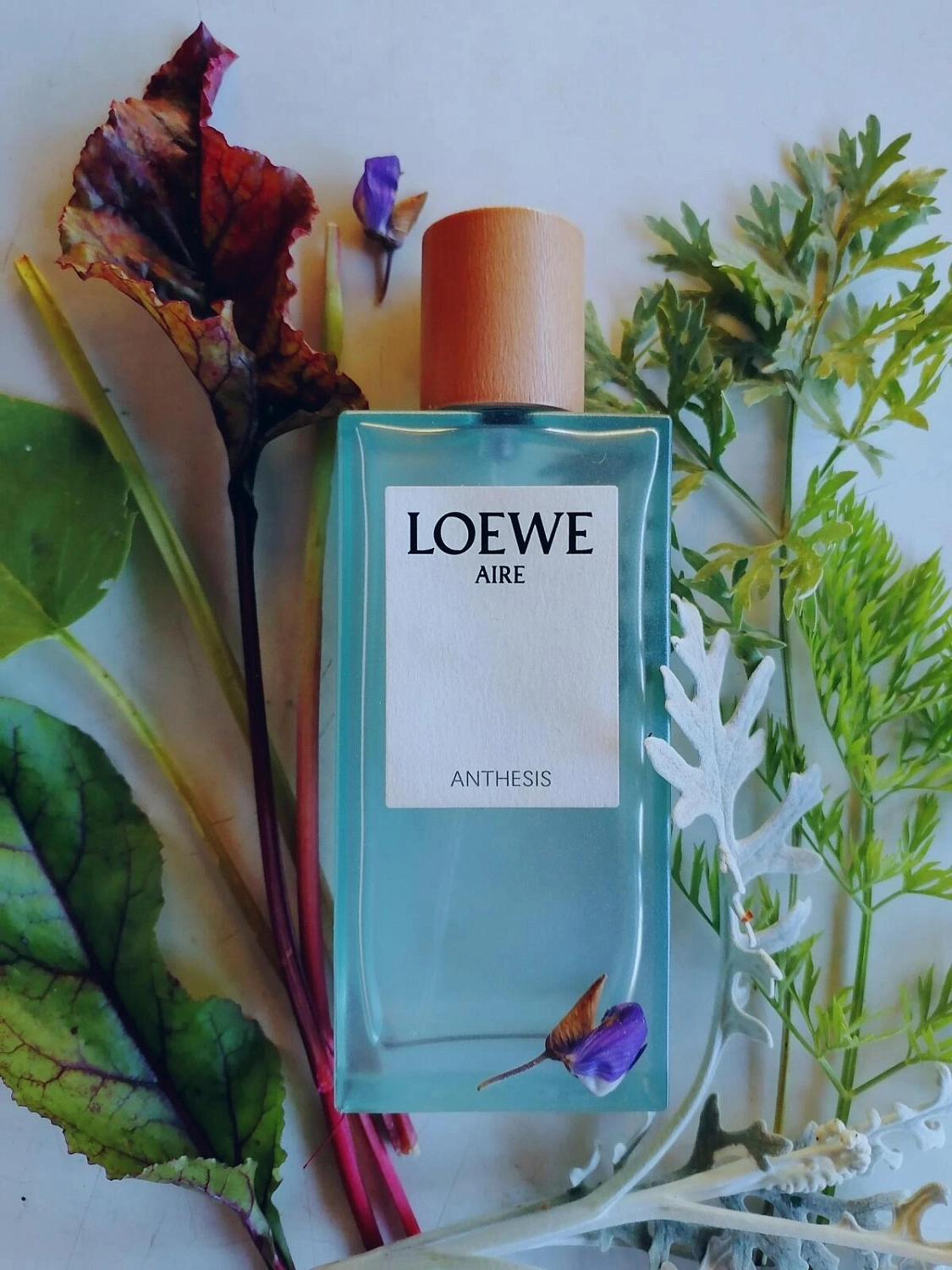 Loewe Aire Anthesis
