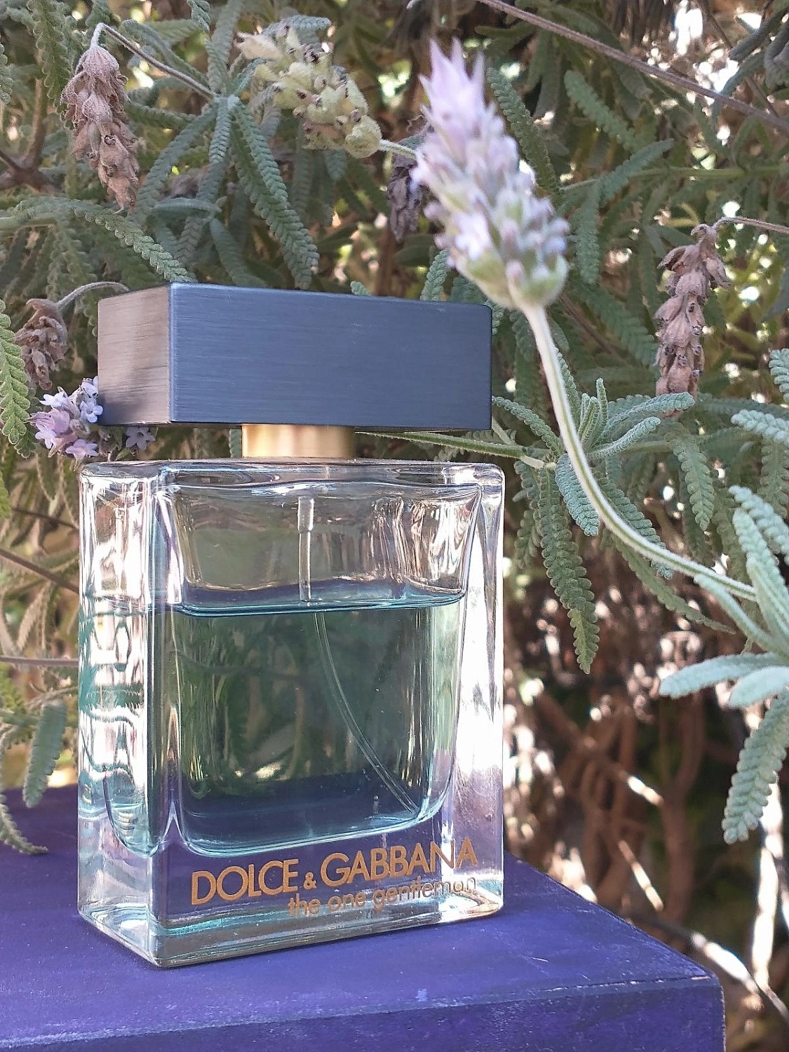 DOLCE & GABBANA The One Gentleman DOLCE & GABBANA The One Gentleman