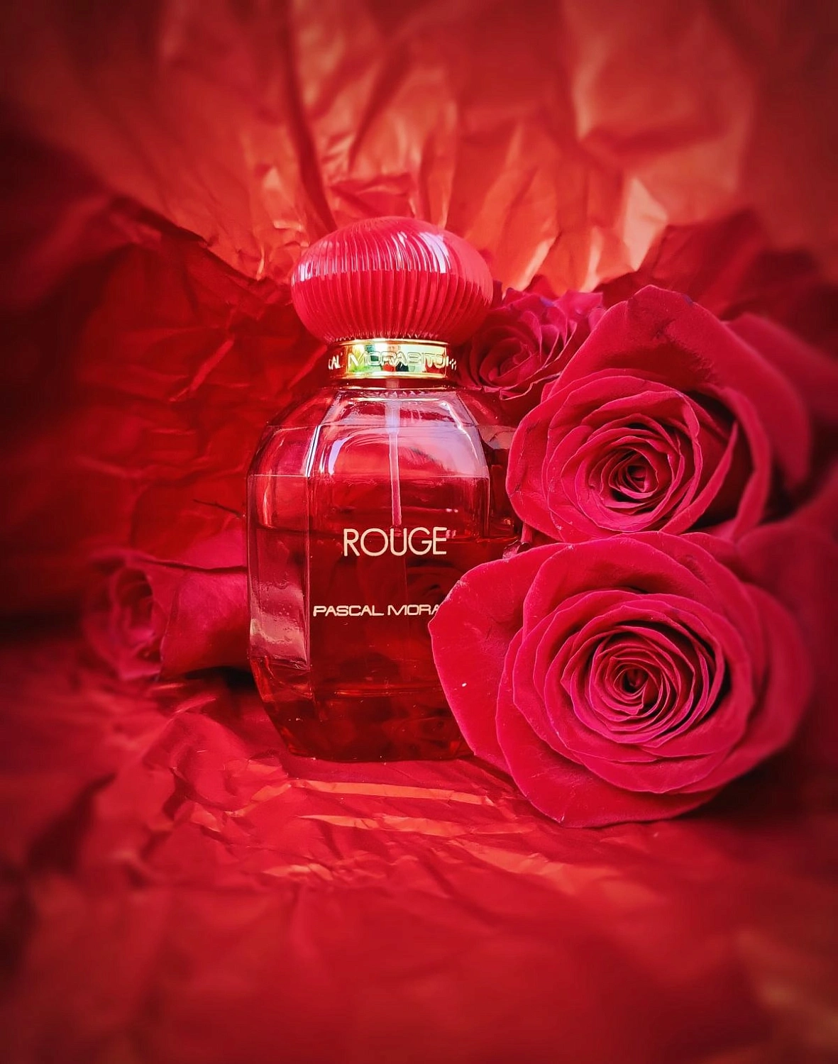 Pascal Morabito Rouge Pascal Morabito Rouge