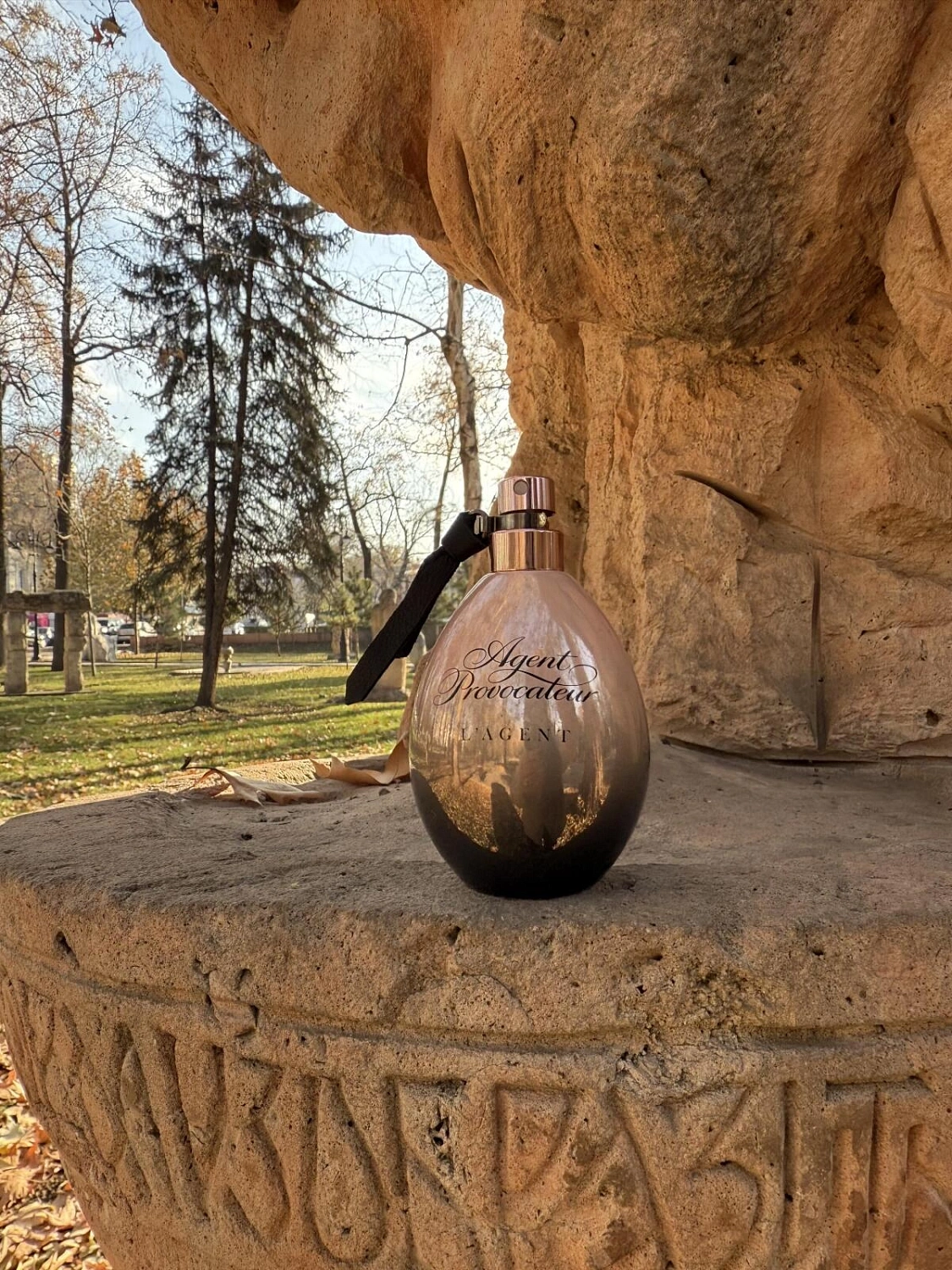 Agent Provocateur L’Agent