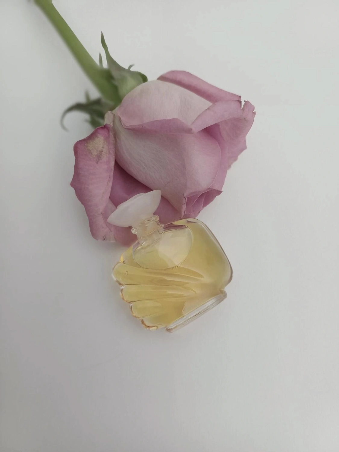 Estee Lauder Beautiful