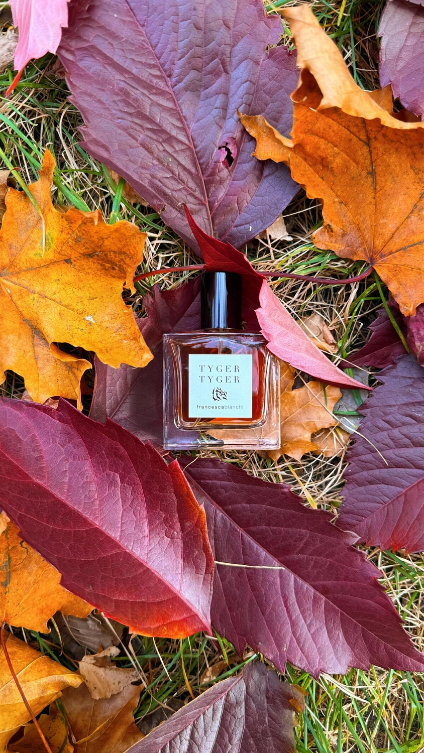 Francesca Bianchi Tyger Tyger
