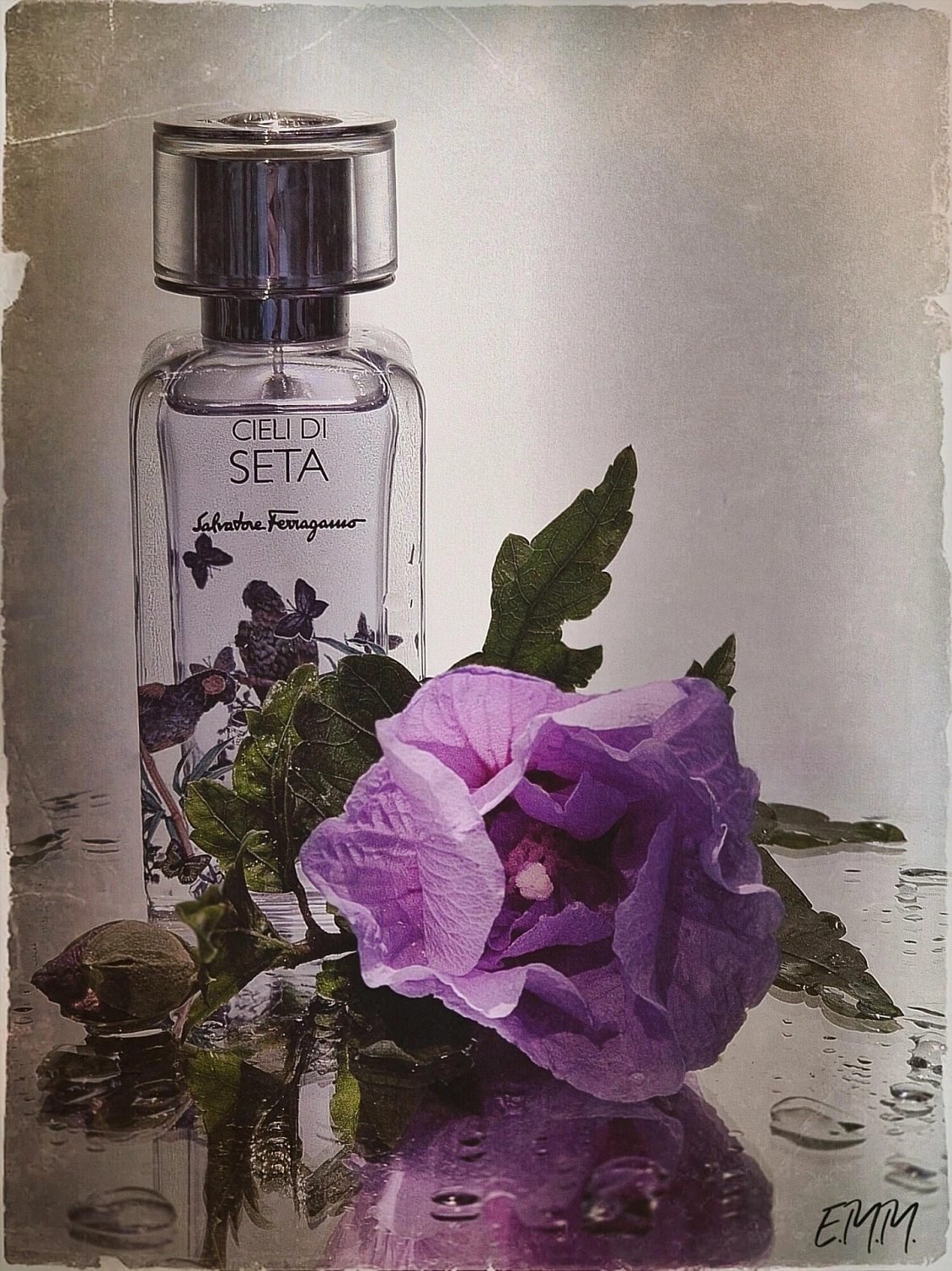 Salvatore Ferragamo Cieli di Seta