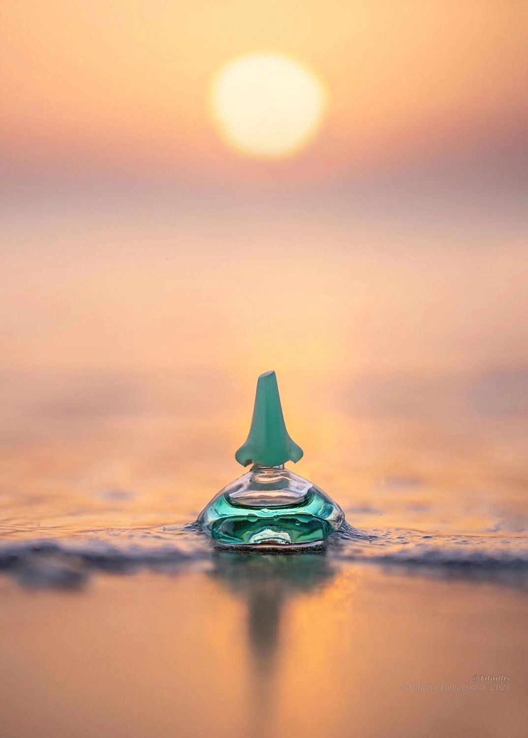 Salvador Dali Laguna