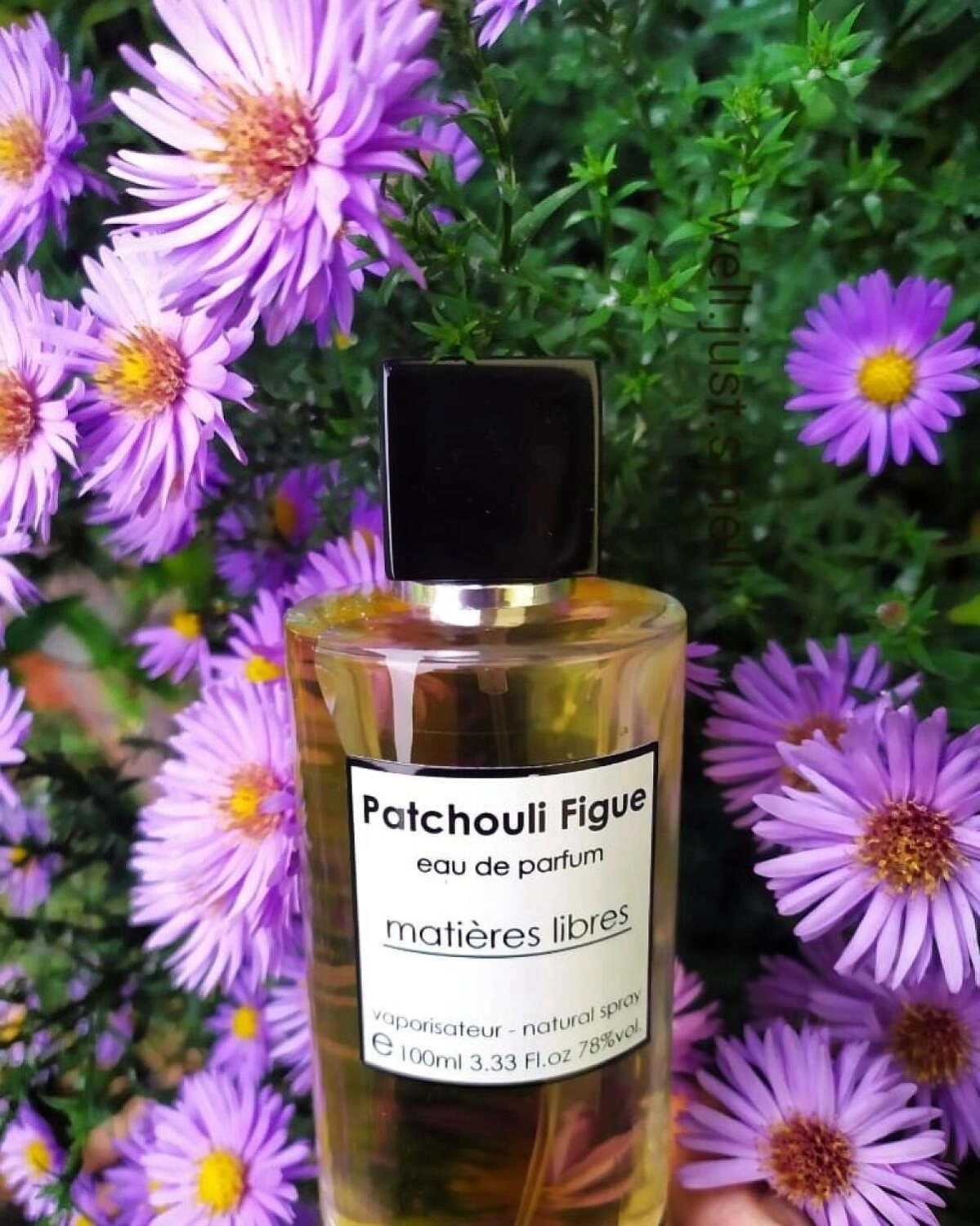 Panouge Patchouli Figue Panouge Patchouli Figue