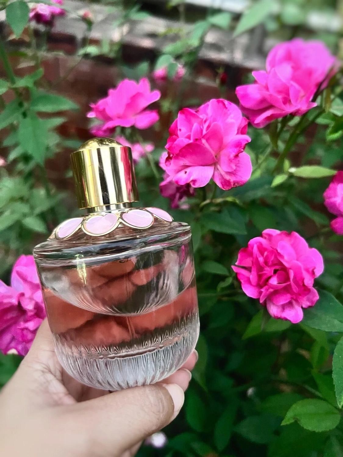 Elie Saab Girl of Now Rose Petal Elie Saab Girl of Now Rose Petal