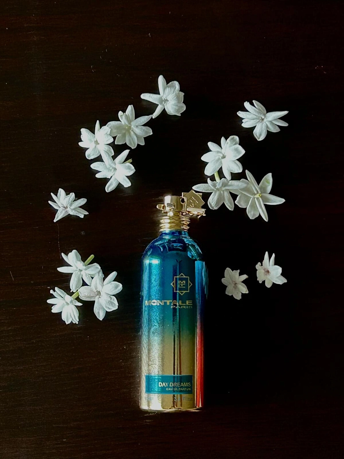 MONTALE Day Dreams