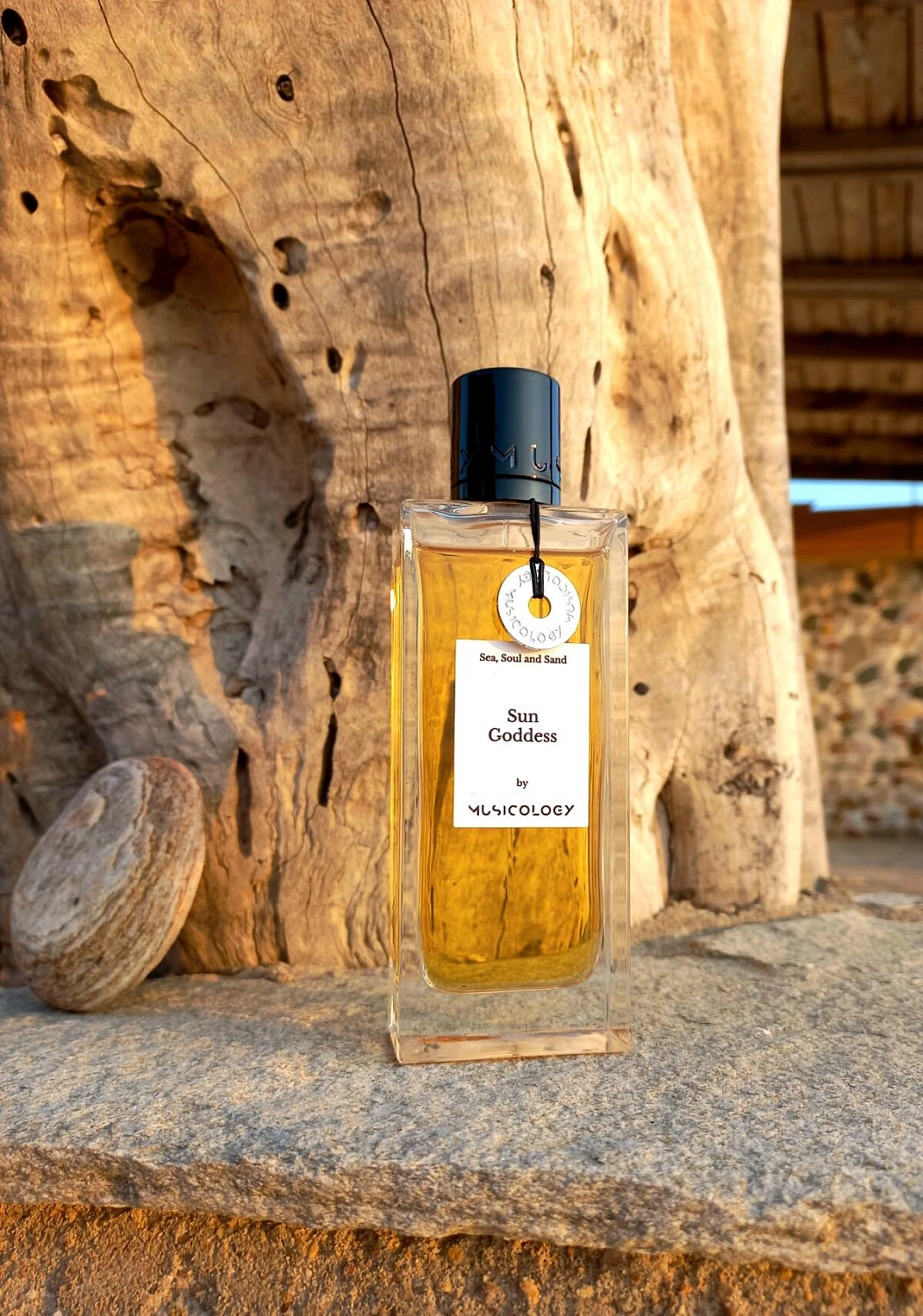 Musicology Sun Goddess