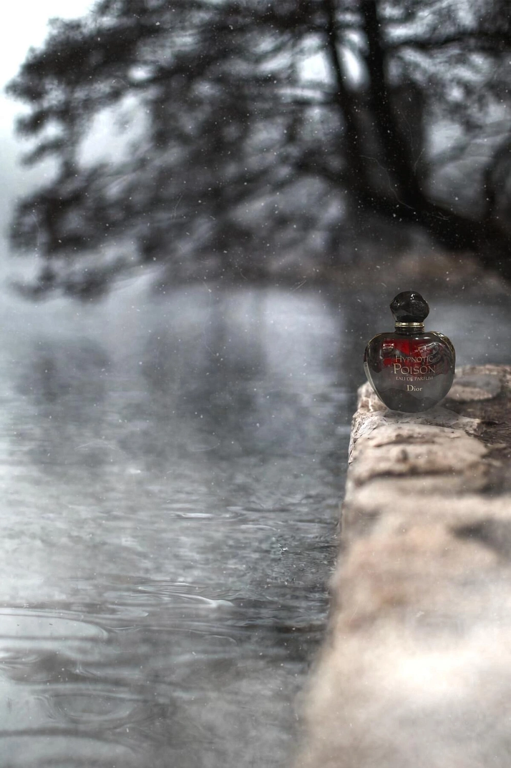 Christian Dior Hypnotic Poison