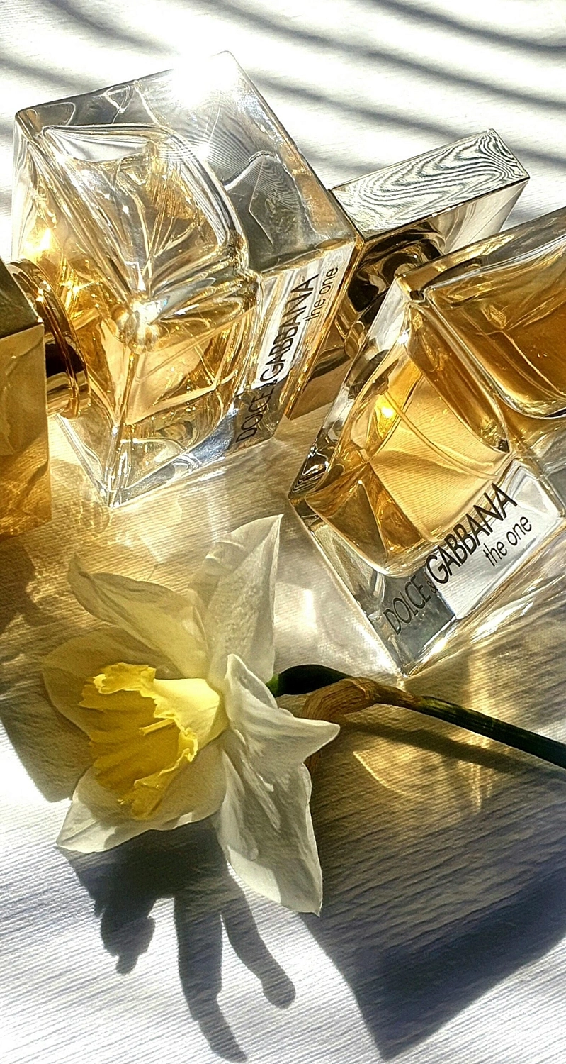 Dolce & Gabbana The One