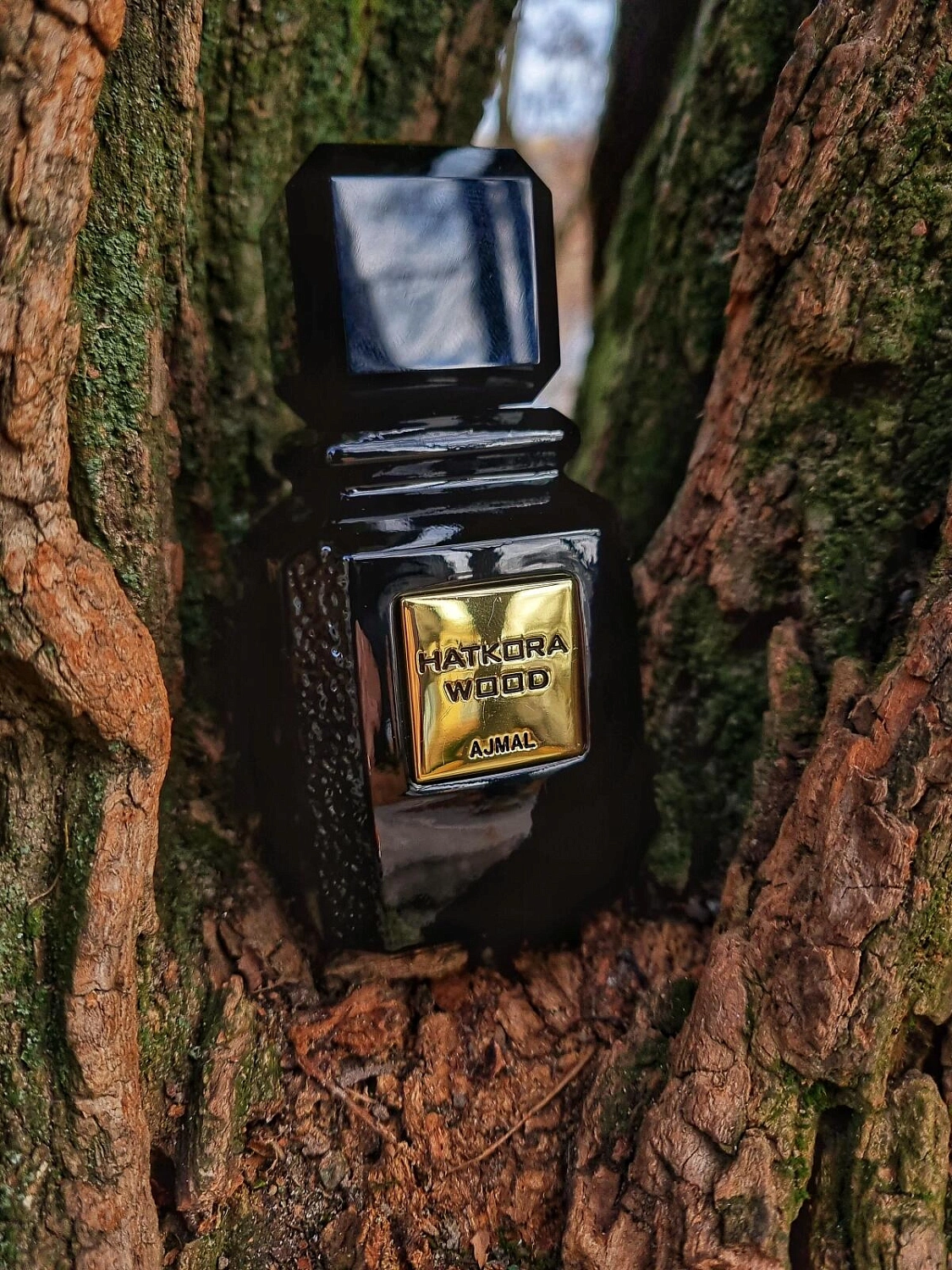 Ajmal Hatkora Wood