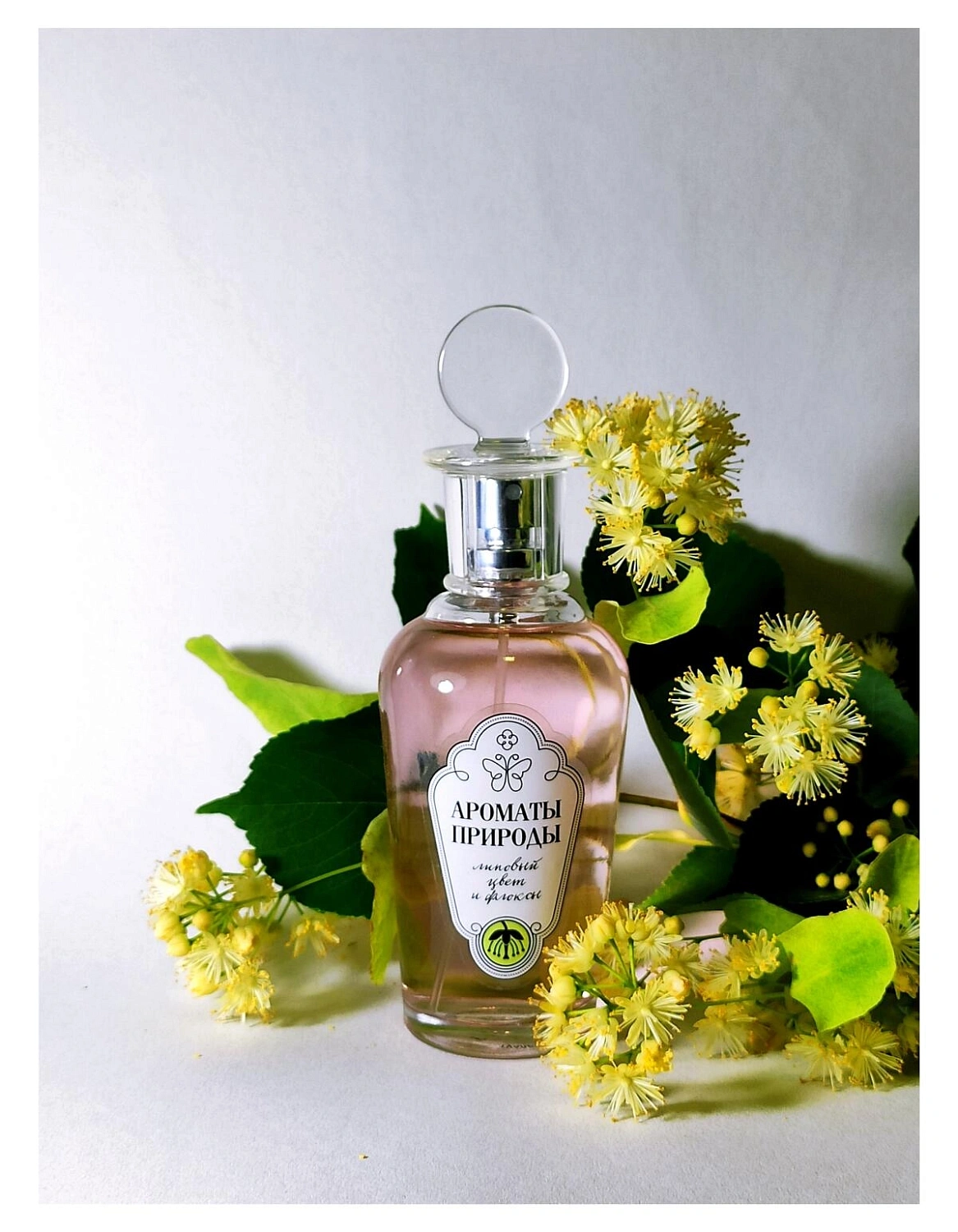 Brocard Липовый Цвет и Флоксы