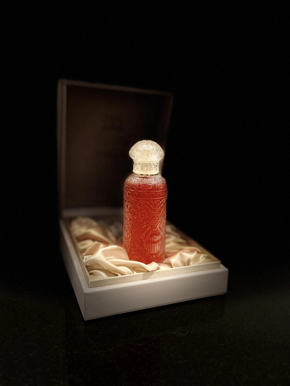 Alexandre J Black Beetle